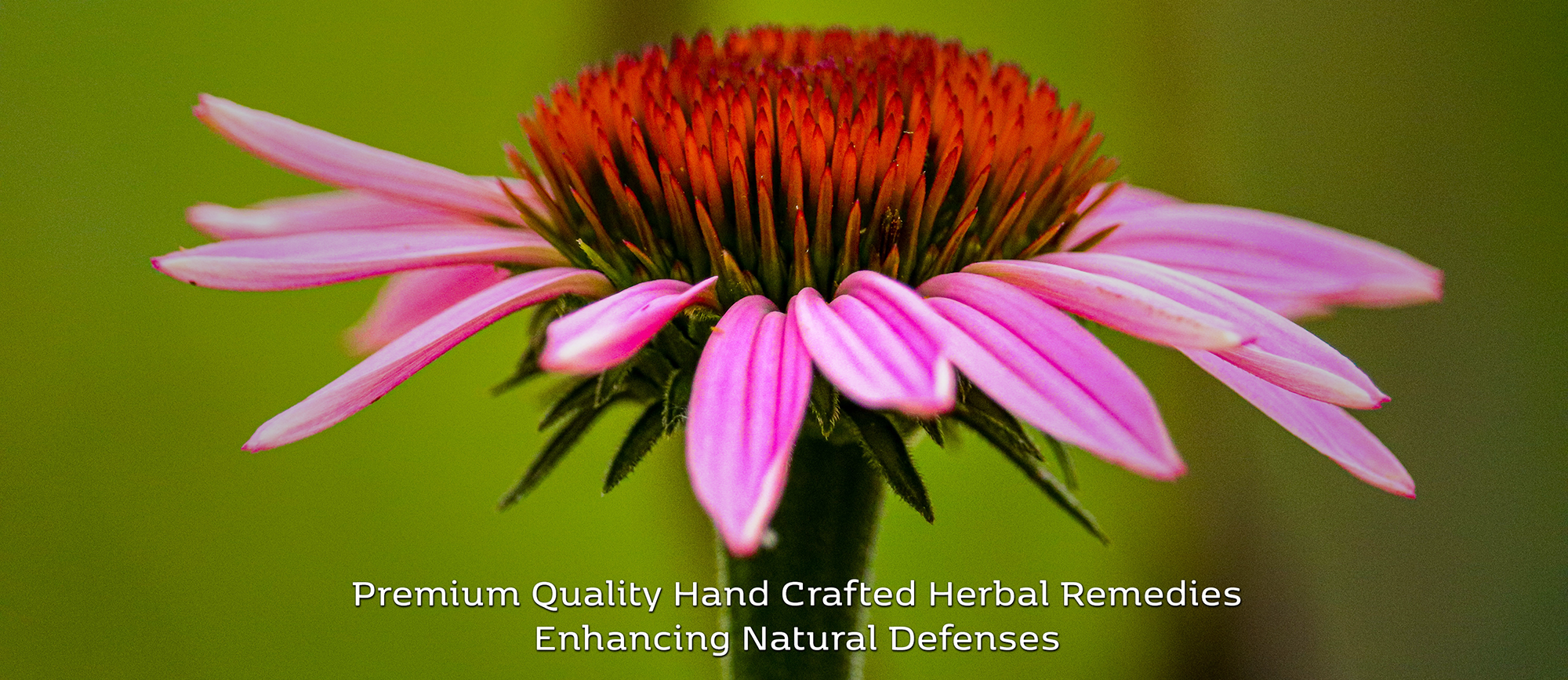 Premium Quality Hand Crafted Herbal Remedies Photo Meg G Naturally Made Herbal Remedies with 45-Day Money Back Guarantee
