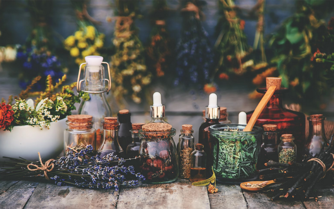 Making Sure You Get the BEST