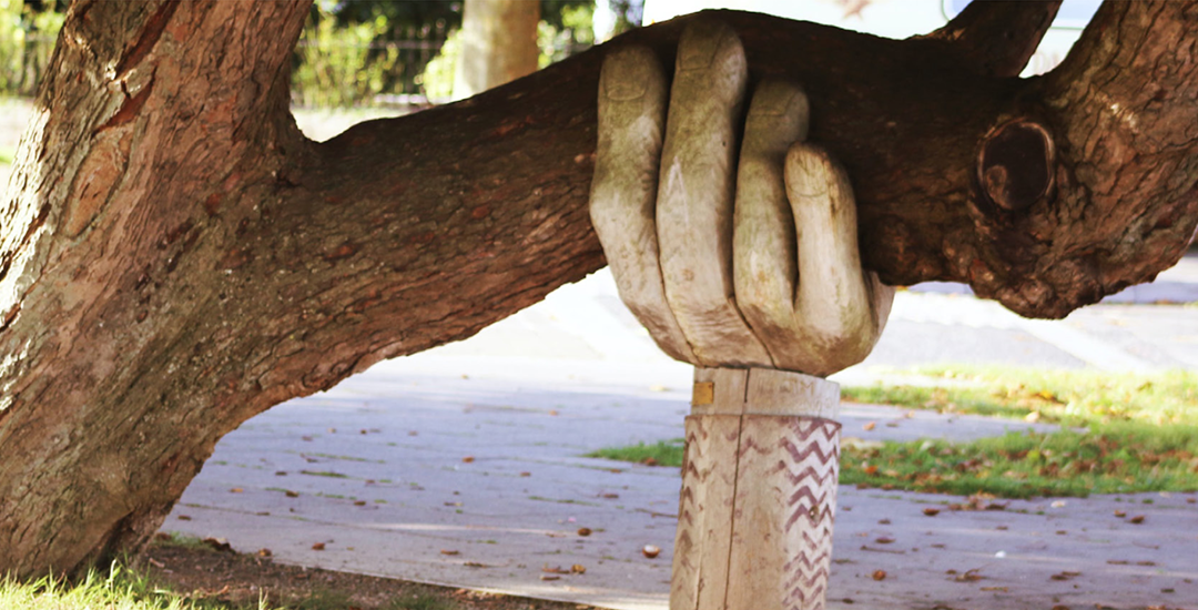 Immune System Maintenance … Ain’t No Such Thing